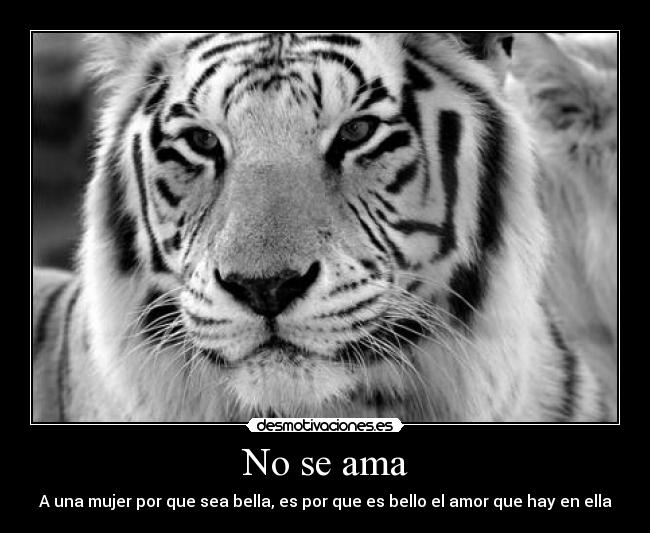 No se ama - A una mujer por que sea bella, es por que es bello el amor que hay en ella