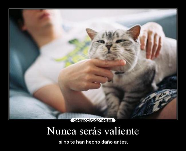 Nunca serás valiente - si no te han hecho daño antes.