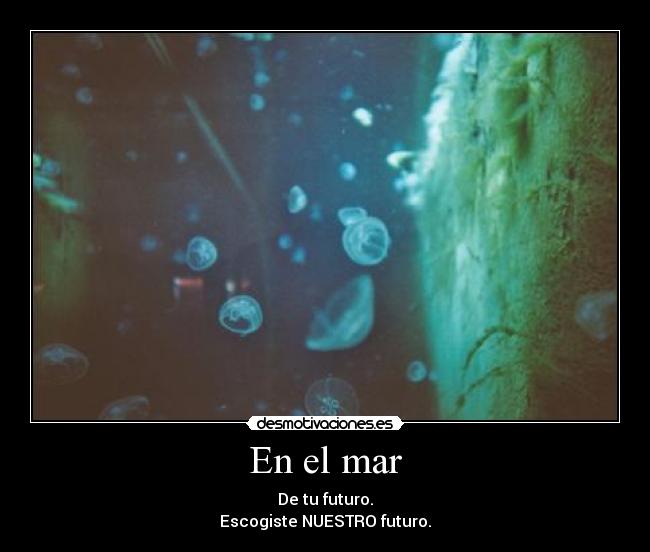 carteles janette kagamine alex alex alex necesito alex para que mates tanque desmotivaciones