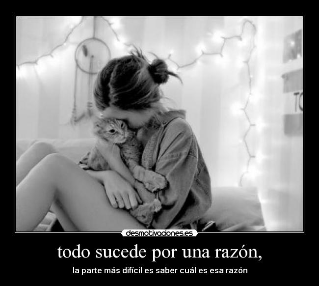 carteles why hard desmotivaciones