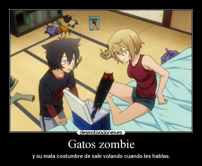 Gatos zombie - 