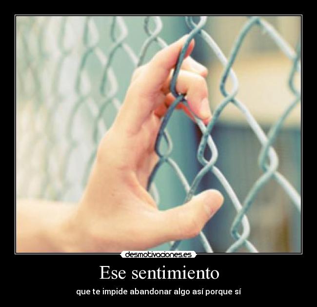 Ese sentimiento - que te impide abandonar algo así porque sí