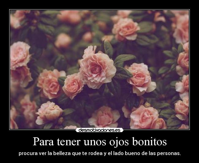 carteles belleza desmotivaciones