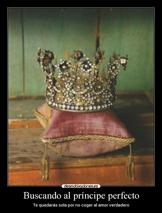 Buscando al príncipe perfecto -