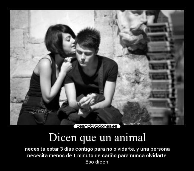 Dicen que un animal - necesita estar 3 días contigo para no olvidarte, y una persona
necesita menos de 1 minuto de cariño para nunca olvidarte.
Eso dicen.