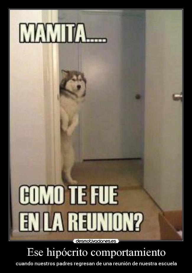 carteles asdasdas eso asia desmotivaciones