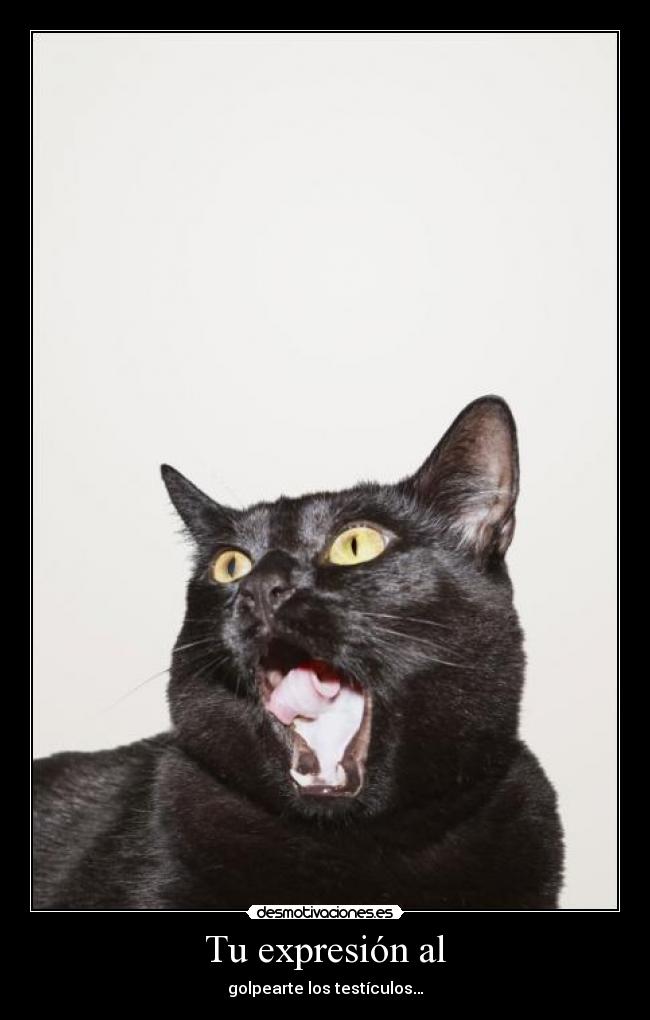Tu expresión al - golpearte los testículos…