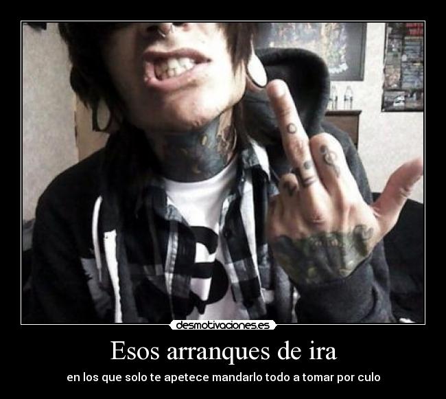 Esos arranques de ira - en los que solo te apetece mandarlo todo a tomar por culo