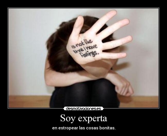 Soy experta - 