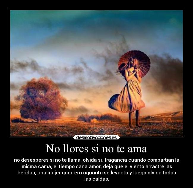 No llores si no te ama -