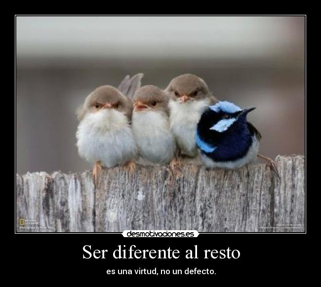 Ser diferente al resto -