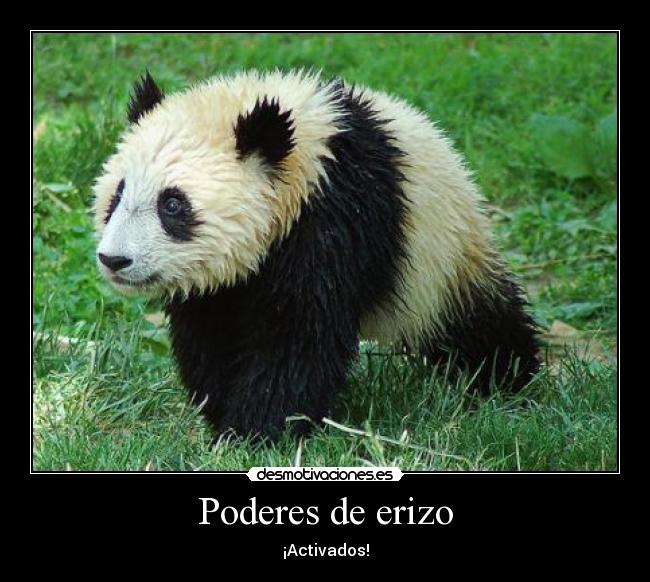 carteles davor safth 123 erizo cree panda ddospuntos xdd desmotivaciones