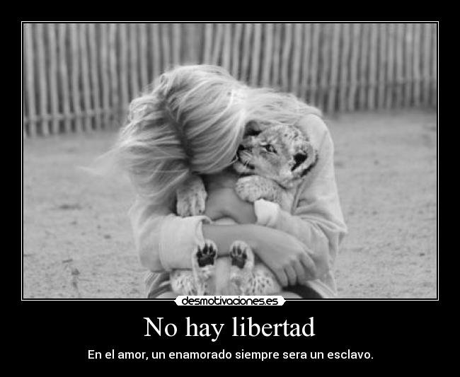 No hay libertad -