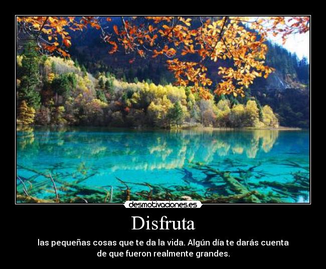 Disfruta - las pequeñas cosas que te da la vida. Algún día te darás cuenta
de que fueron realmente grandes.