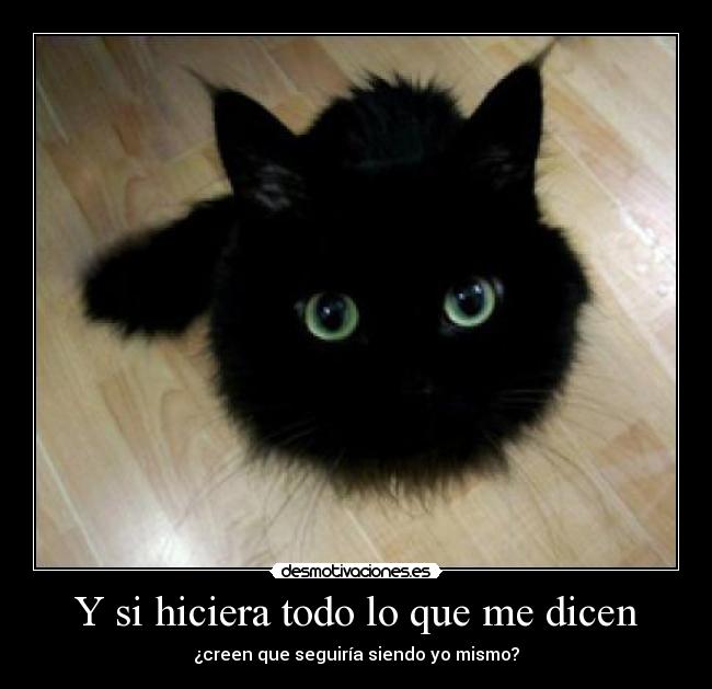 Y si hiciera todo lo que me dicen - 