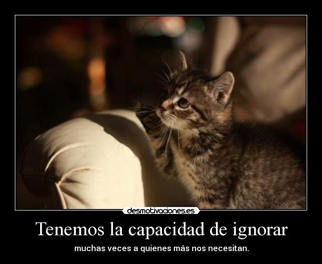 Tenemos la capacidad de ignorar - 