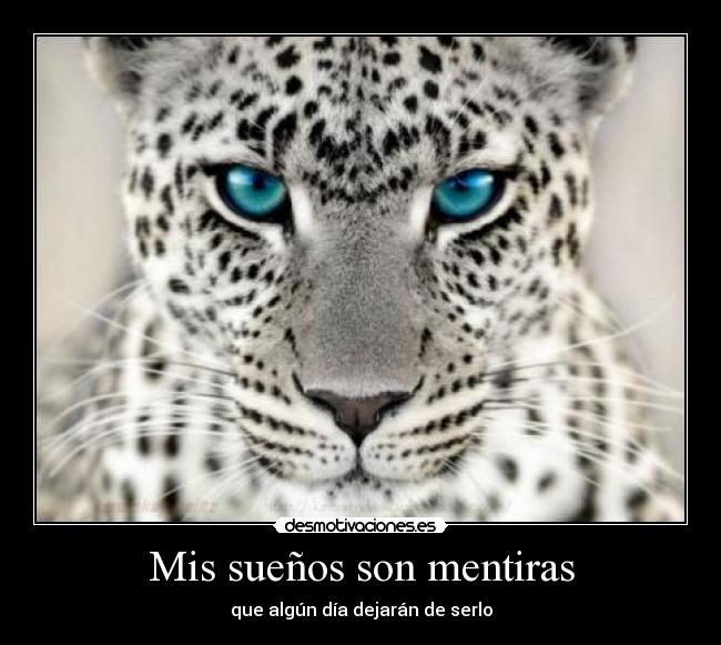 Mis sueños son mentiras -