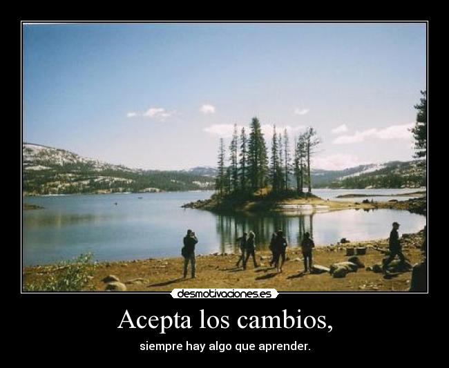 carteles verdad verdadera desmotivaciones