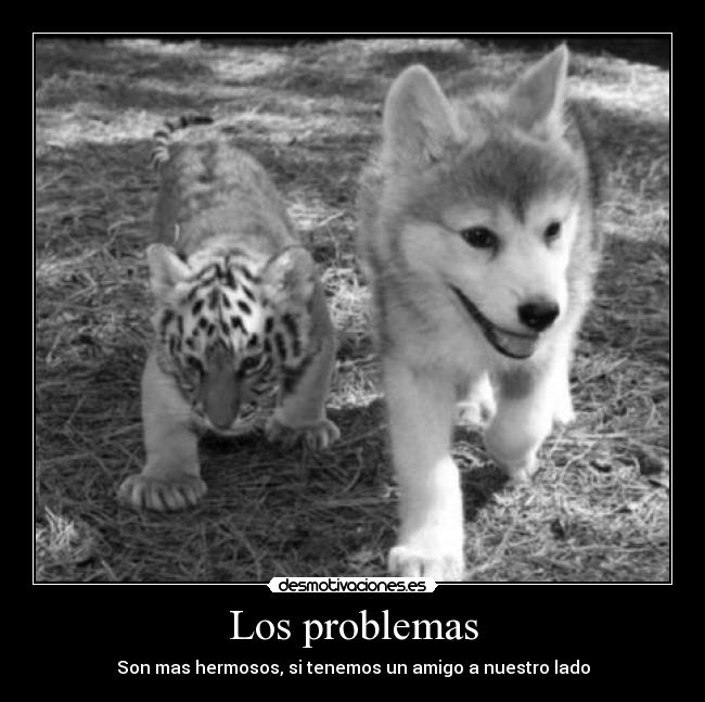 Los problemas -