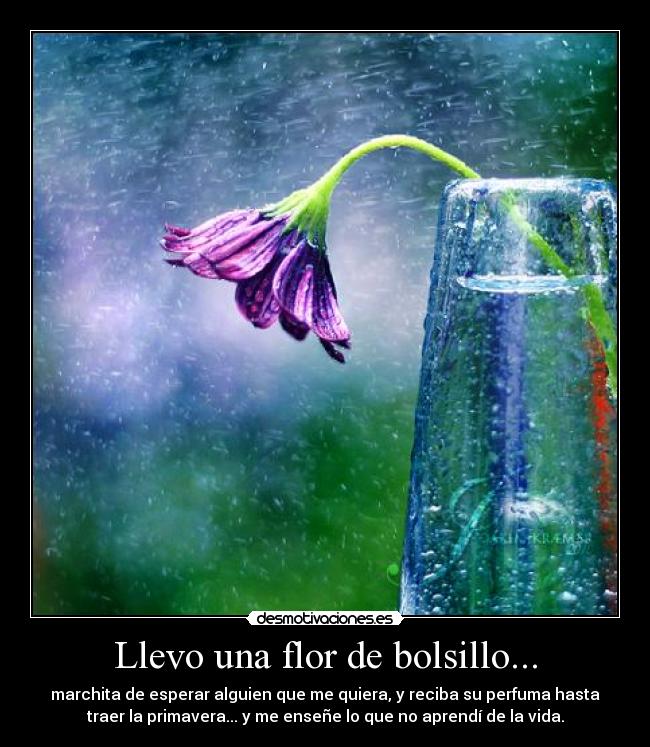 carteles sentimiento desmotivaciones