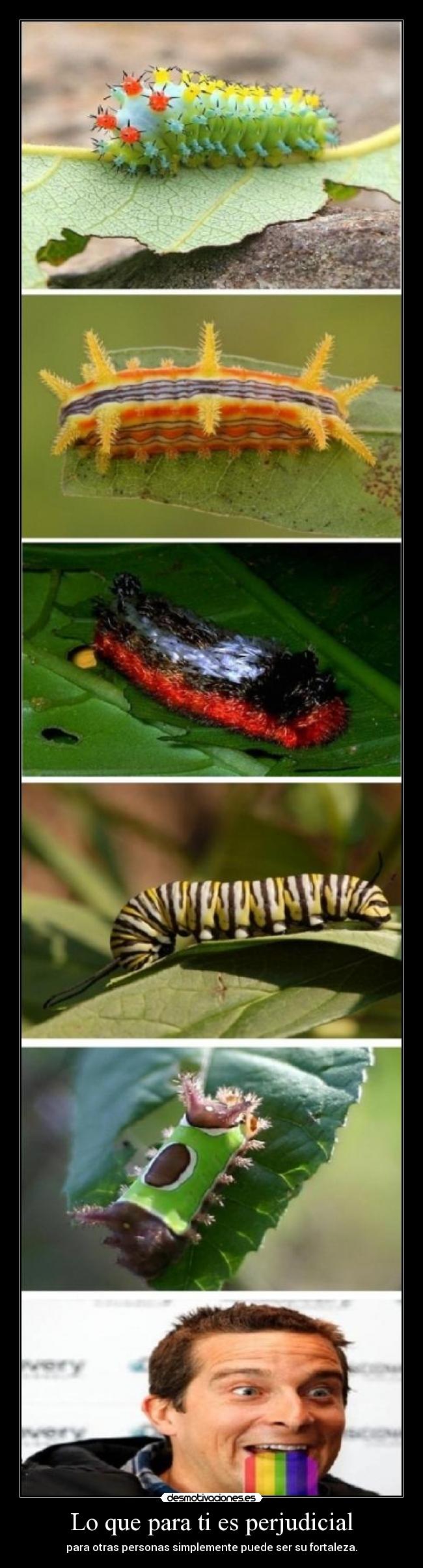 Lo que para ti es perjudicial - para otras personas simplemente puede ser su fortaleza.