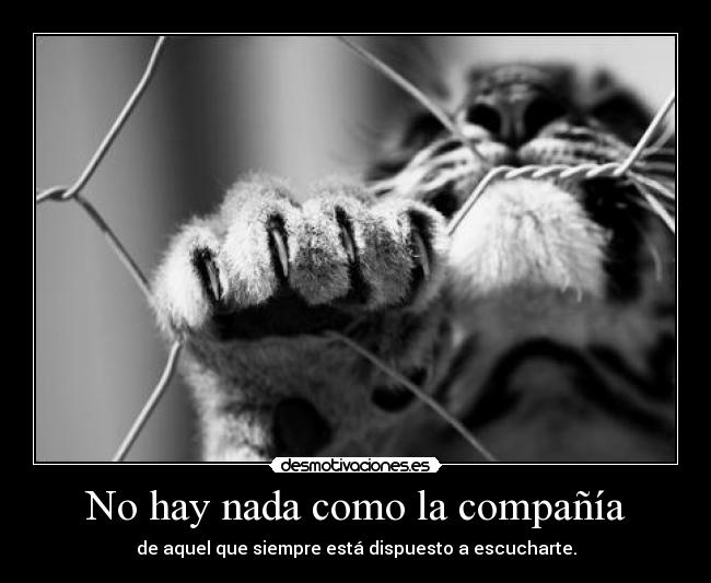 No hay nada como la compañía - 