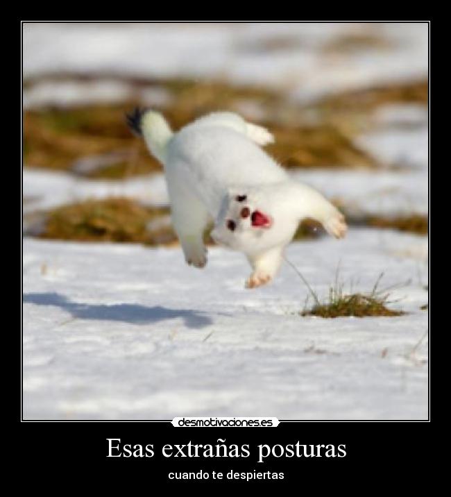 Esas extrañas posturas - cuando te despiertas