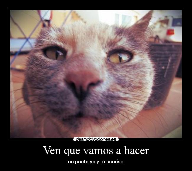 carteles fgjdfoigjmd foto viene cuentoxd desmotivaciones