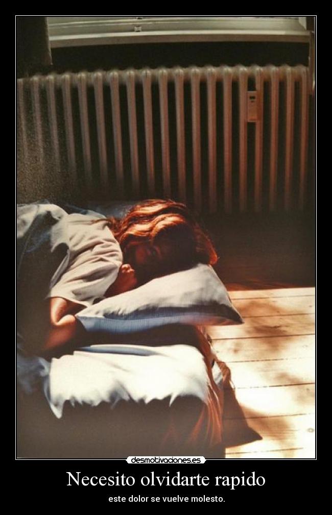 Necesito olvidarte rapido -