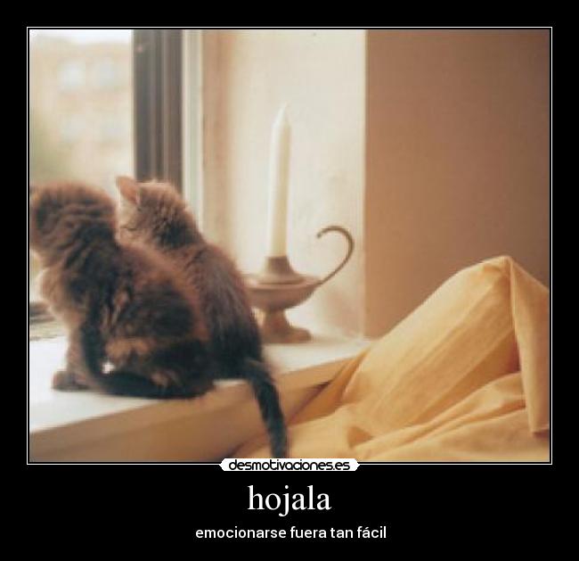 carteles amor desmotivaciones