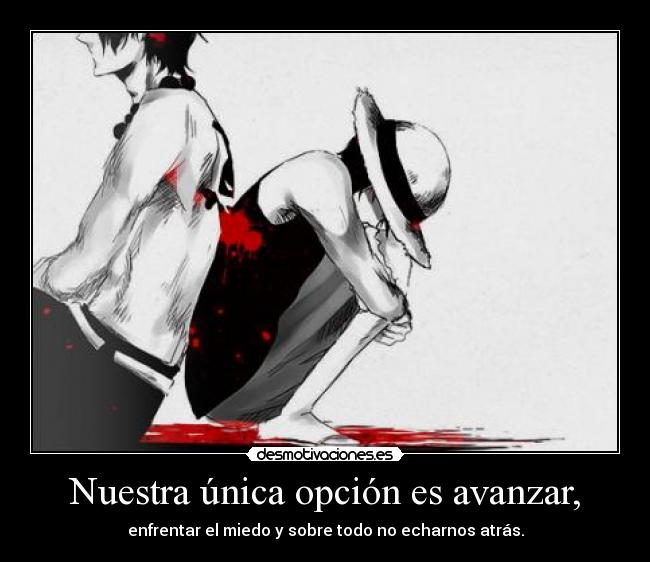 carteles one piece luffy portgas ace harukaze desmotivaciones