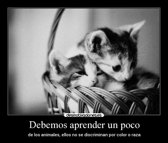 carteles monsterclouds intruders clanclon desmotivaciones