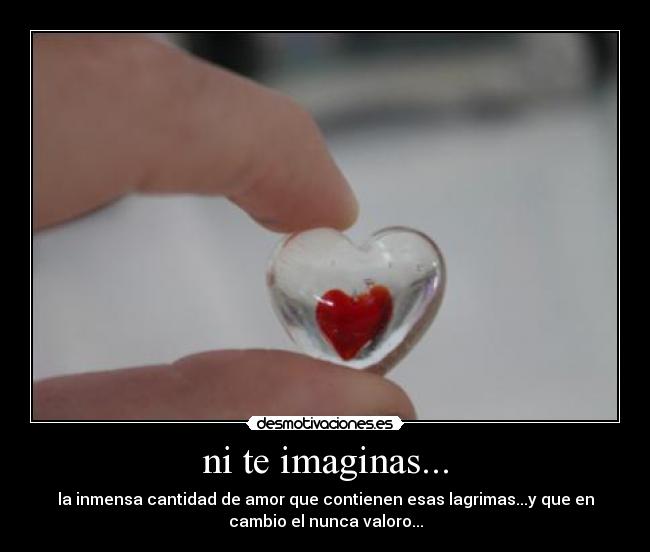 ni te imaginas... - la inmensa cantidad de amor que contienen esas lagrimas...y que en
cambio el nunca valoro...