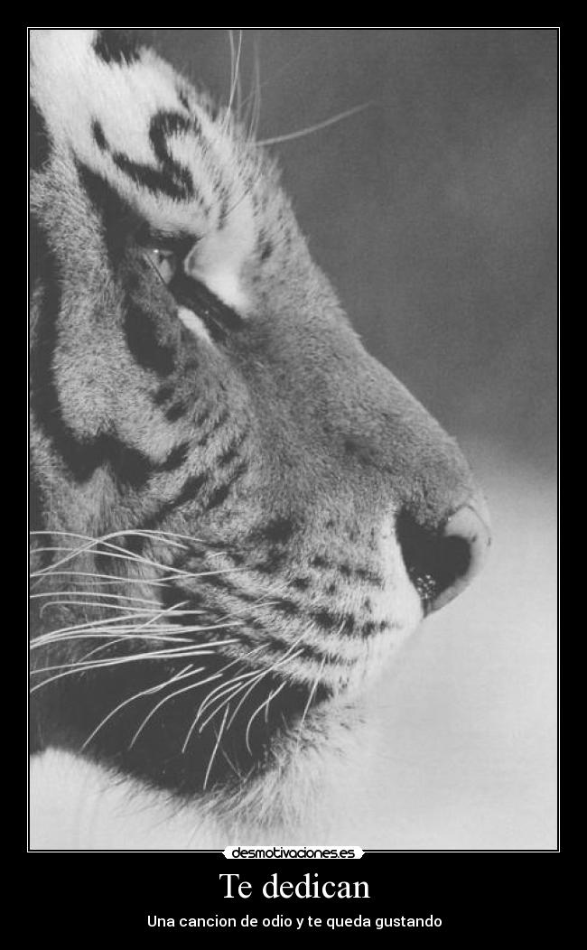 Te dedican - Una cancion de odio y te queda gustando