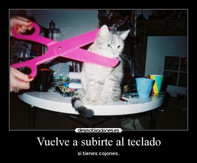 Vuelve a subirte al teclado - si tienes cojones..