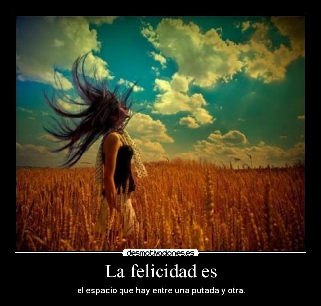 La felicidad es - el espacio que hay entre una putada y otra.