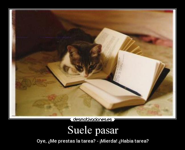 Suele pasar - 