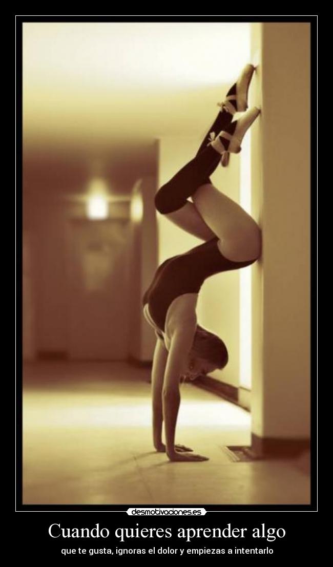 carteles importa dolo importa que puedas desmotivaciones