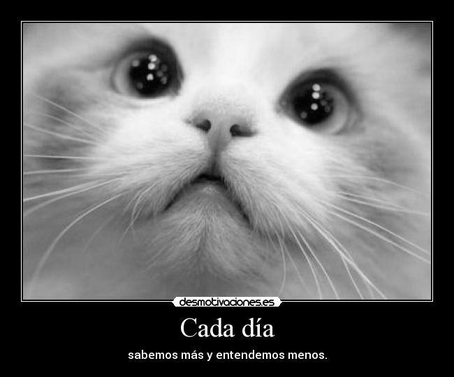 Cada día - 