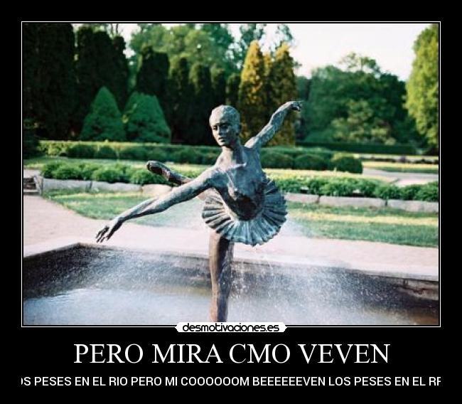 PERO MIRA CMO VEVEN -