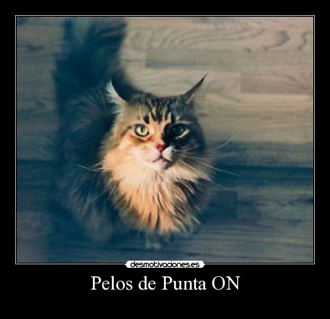 Pelos de Punta ON - 