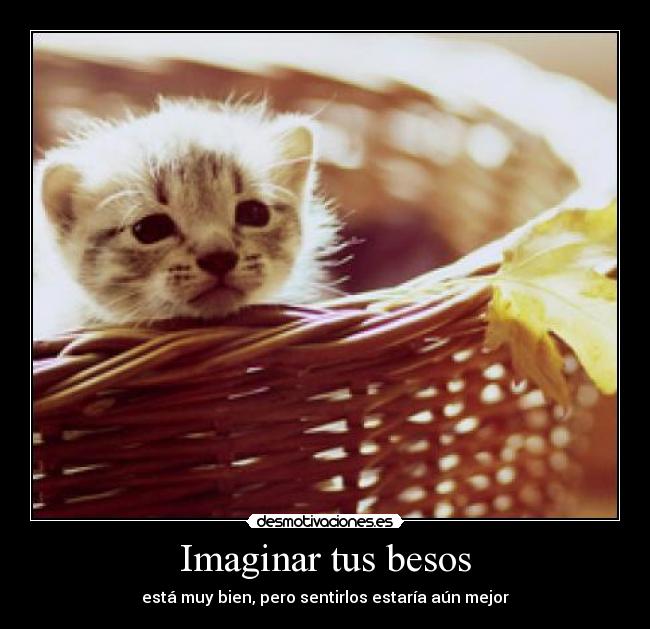 Imaginar tus besos - 