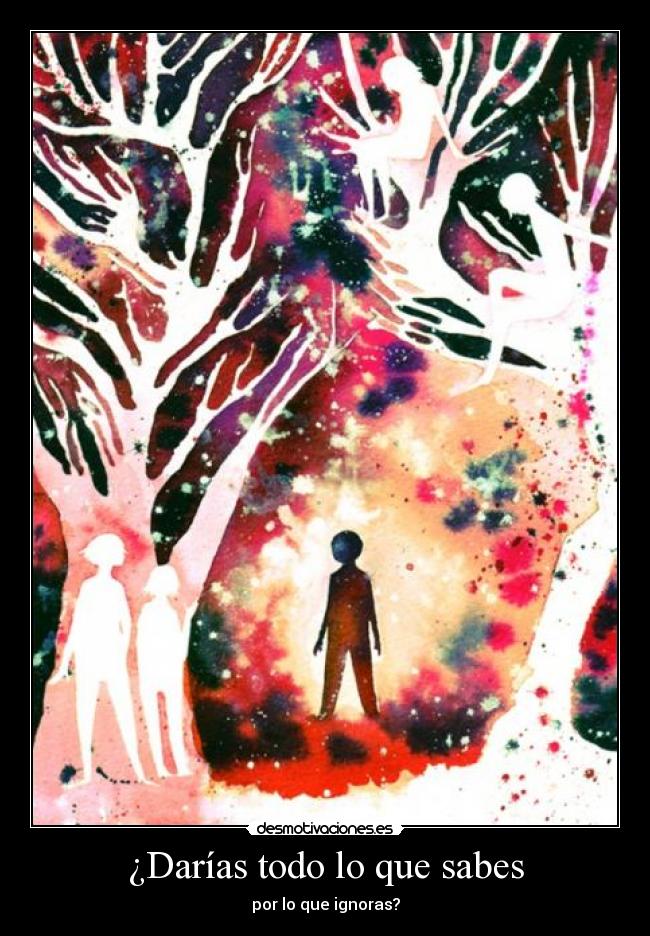 ¿Darías todo lo que sabes - 