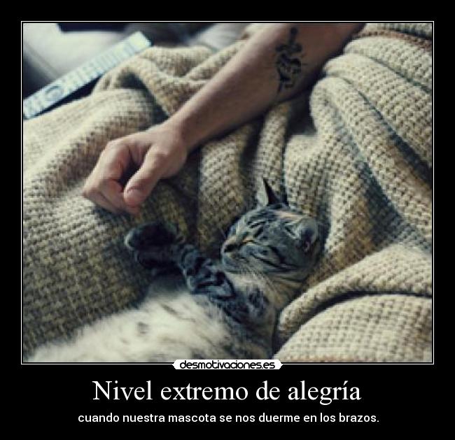 Nivel extremo de alegría - 