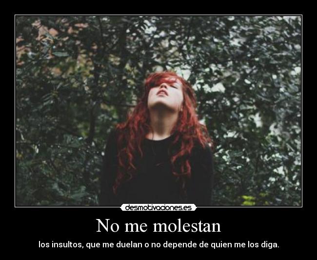 No me molestan -