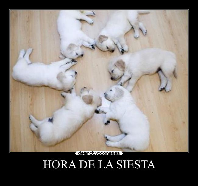 HORA DE LA SIESTA - 