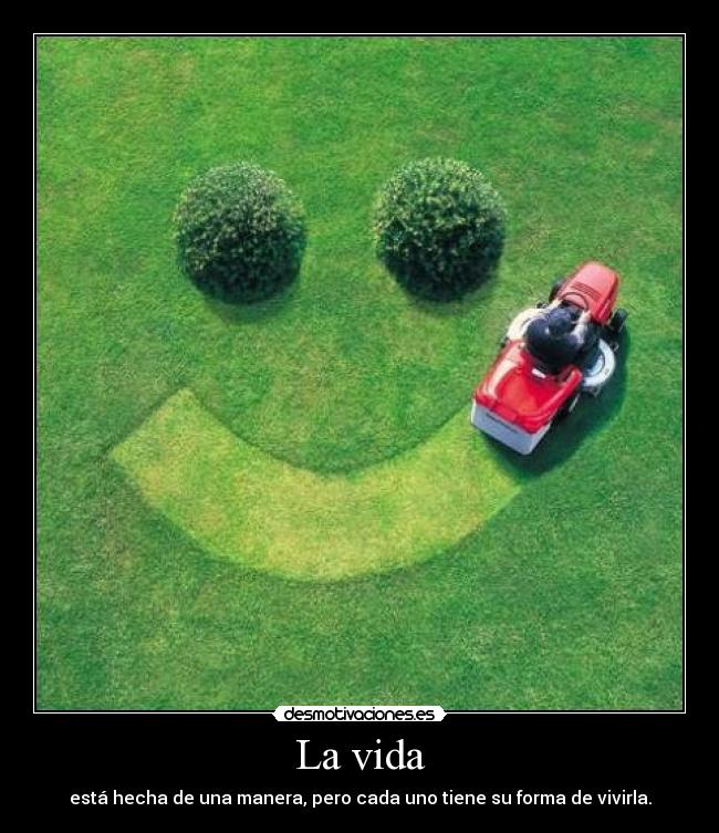 La vida - está hecha de una manera, pero cada uno tiene su forma de vivirla.