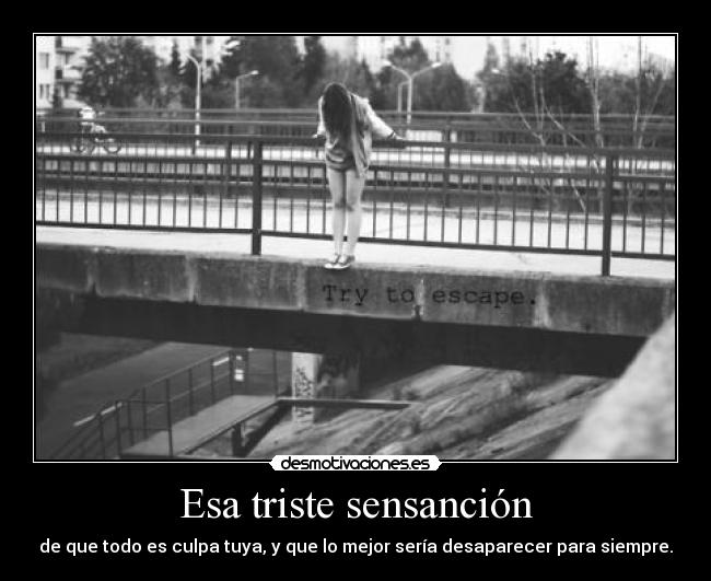 carteles laura rules ella desmotivaciones