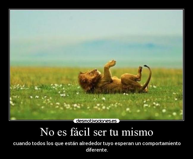 No es fácil ser tu mismo - 