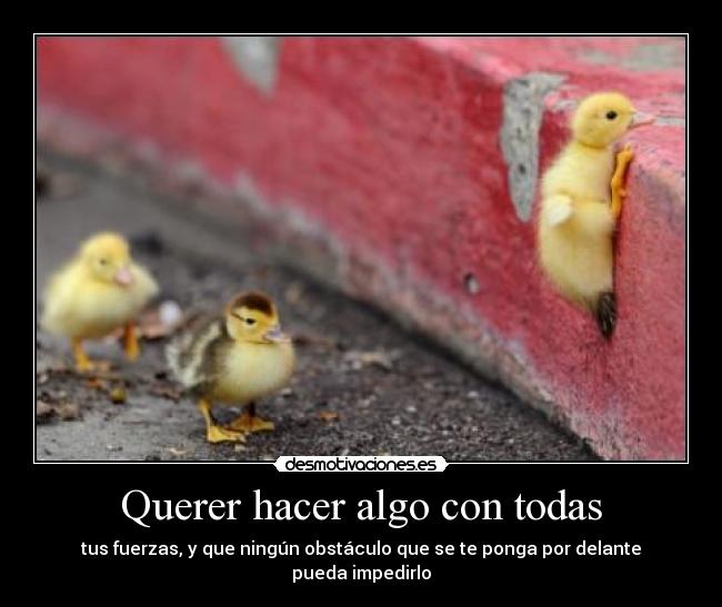 Querer hacer algo con todas -